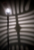 TRIPLIGHT