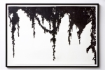 COTTON RAG
