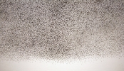UNTITLED SKIN Detail