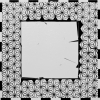 White Cube