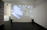 Sporing Lips of Transposed Desire