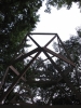 Essaying Performative Constructions