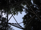 Essaying Performative Constructions