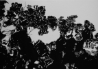 Landschaft