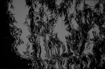 Landschaft