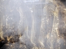 ohne Titel