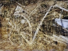 ohne Titel