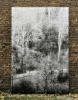 �In the Heart of the Woods III�