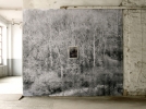 �In the Heart of the Woods II�