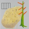 Potato