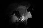 PUPPIES IN TORTURE CHAMBERS, 5