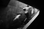 PUPPIES IN TORTURE CHAMBERS, 8