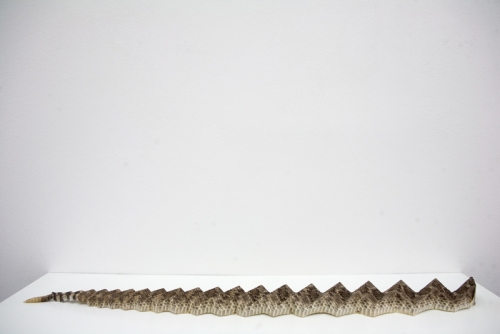 Philip Wiegard: Rattlesake II